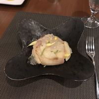 オッジ ダルマット 西麻布店 - 