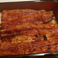 うなぎ藤田 白金台店 - 