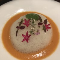 セルサルサーレ - 