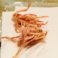 天冨良 よこ田 - 