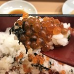 寿し処 勢 - 生いくら丼。いくらの量も充分です(^｡^)