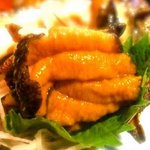 魚酒房 まんま亭 - さざえのお刺身