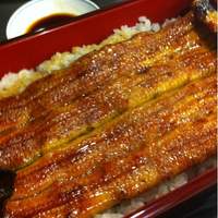 鰻 若松 - 