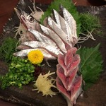 魚功 - 秋刀魚のお刺身