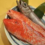 うまいもん いわたや