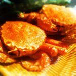 魚酒房 まんま亭 - 毛がに