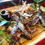 比良山荘 - まるで泳いでいるよう