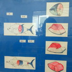 マグロのマルジン - マグロの部位の図