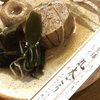 丸太ごうし 丸太ごうし