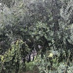 キリンビール 横浜工場 - 