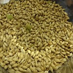 キリンビール 横浜工場 - 