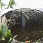 キリンビール 横浜工場 - 