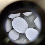 キリンビール 横浜工場 - 