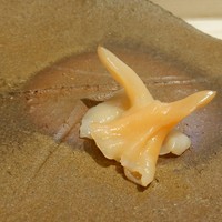 鮨 なかがわ - 