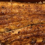 鰻はし本 - 鰻重ろ