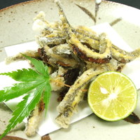 〈郡上〉あじめ泥鰌唐揚げ