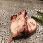 鮨きたむら - 煮蛸