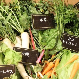 神奈川県相模原市より直送の無農薬・無化学肥料のお野菜