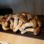 松茸お披露目＼(^o^)／