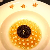 ガストロノミー ジョエル・ロブション - 