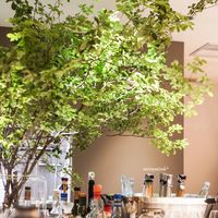 マンサルヴァ - 店内