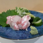 よし春 - 真鯛の造り