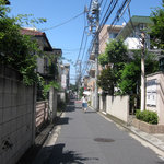 ダンディゾン - 