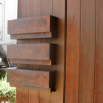 ダンディゾン - 