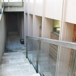 ダンディゾン - 