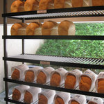 ダンディゾン - 