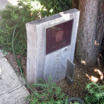 ダンディゾン - 