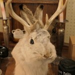 グッド タウン ドーナツ - うさうさ