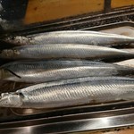 居酒屋　純ちゃん - 