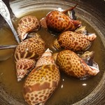 居酒屋　純ちゃん - 