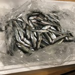 うを徳 - 浜名湖産稚鮎