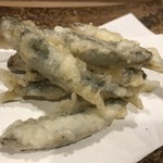 うを徳 - 浜名湖産稚鮎 天ぷら