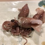 うを徳 - 蛍烏賊