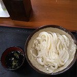 Teuchi Udon Ichiya - 冷やしうどん（小）