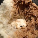 ぱくぱく くもくま堂  - 