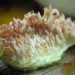 焼き鳥　柳屋 - 珍味でした