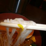 佐藤養助 - かけうどんup