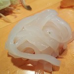 柳鮨 - やりいか