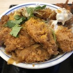 かつや - ヒレかつ丼＋ロースかつ+1