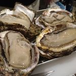 新橋 いっぱし - 島根の岩かき