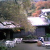 滋養料理 山法師 滋養料理 山法師