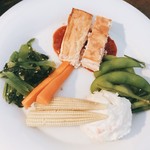 サウンズ テラス - 