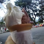 榎本牧場　フォルトゥーナ - 