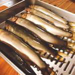 やまめ庵 - 刺身になるアユちゃん(^^)