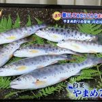 やまめ庵 - 雨の中、山女釣れてます(^^)