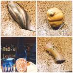 鮨匠 のむら - 新子と赤雲丹、シマアジに芋焼酎(^^)